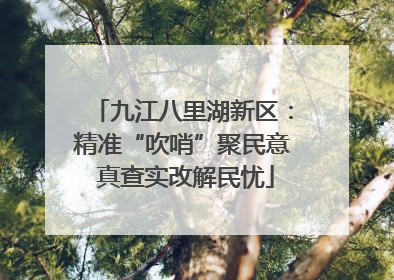 九江八里湖新区：精准“吹哨”聚民意 真查实改解民忧