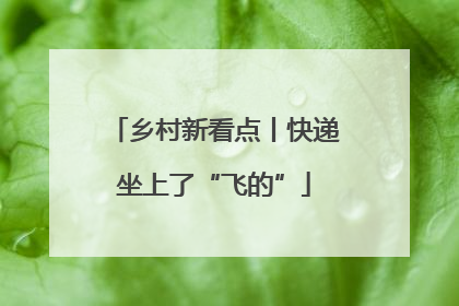乡村新看点丨快递坐上了“飞的”