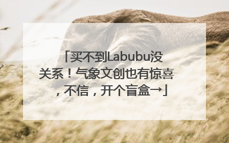 买不到Labubu没关系！气象文创也有惊喜，不信，开个盲盒→