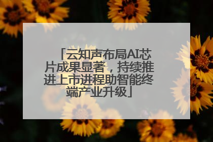 云知声布局AI芯片成果显著，持续推进上市进程助智能终端产业升级