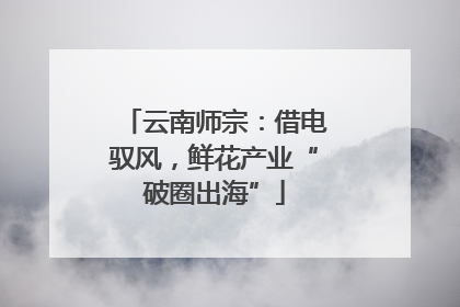 云南师宗：借电驭风，鲜花产业“破圈出海”