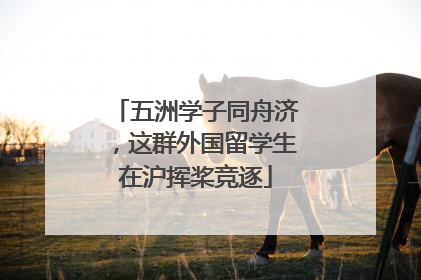 五洲学子同舟济，这群外国留学生在沪挥桨竞逐