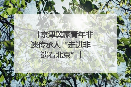 京津冀蒙青年非遗传承人“走进非遗看北京”