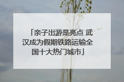 亲子出游是亮点 武汉成为假期铁路运输全国十大热门城市