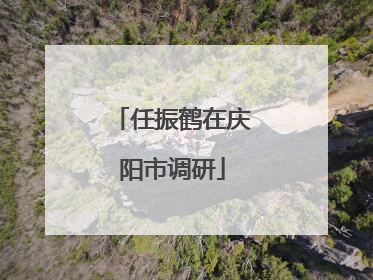 任振鹤在庆阳市调研
