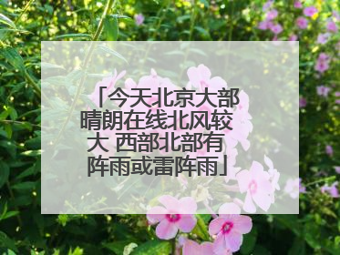 今天北京大部晴朗在线北风较大 西部北部有阵雨或雷阵雨