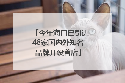 今年海口已引进48家国内外知名品牌开设首店