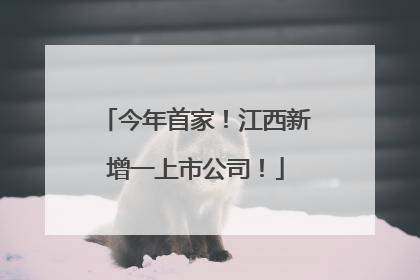 今年首家!江西新增一上市公司!
