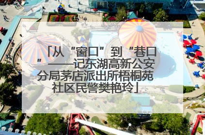 从“窗口”到“巷口”——记东湖高新公安分局茅店派出所梧桐苑社区民警樊艳玲