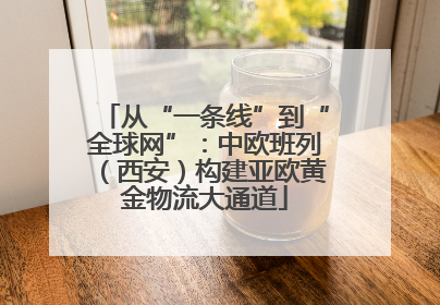 从“一条线”到“全球网”：中欧班列（西安）构建亚欧黄金物流大通道