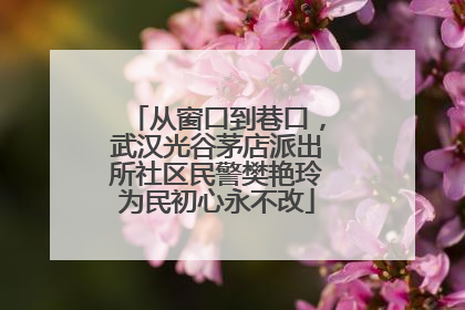 从窗口到巷口，武汉光谷茅店派出所社区民警樊艳玲为民初心永不改