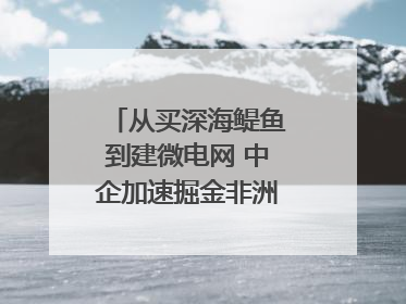 从买深海鳀鱼到建微电网 中企加速掘金非洲现代化｜直击中非经贸博览会