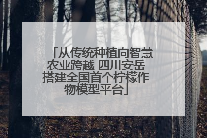 从传统种植向智慧农业跨越 四川安岳搭建全国首个柠檬作物模型平台