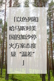 以色列和哈马斯对美国的加沙停火方案态度显“温差”