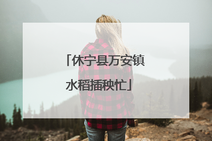休宁县万安镇水稻插秧忙