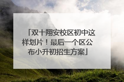 双十翔安校区初中这样划片！最后一个区公布小升初招生方案