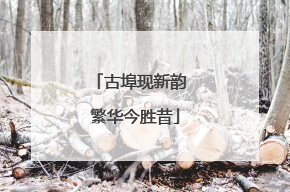 古埠现新韵 繁华今胜昔
