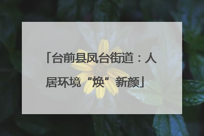 台前县凤台街道：人居环境“焕”新颜