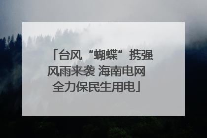 台风“蝴蝶”携强风雨来袭 海南电网全力保民生用电