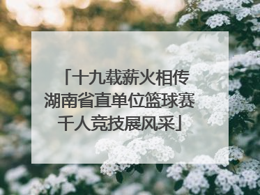 十九载薪火相传 湖南省直单位篮球赛千人竞技展风采
