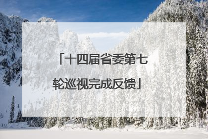 十四届省委第七轮巡视完成反馈