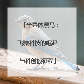 半导体黑马：飞骧科技的崛起与科创板征程