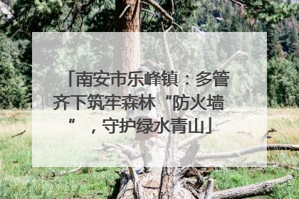 南安市乐峰镇：多管齐下筑牢森林“防火墙”，守护绿水青山