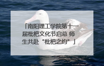 南阳理工学院第十一届枇杷文化节启幕 师生共赴“枇杷之约”