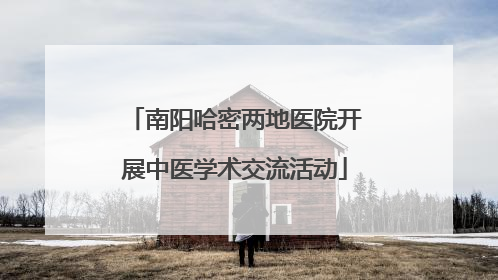 南阳哈密两地医院开展中医学术交流活动