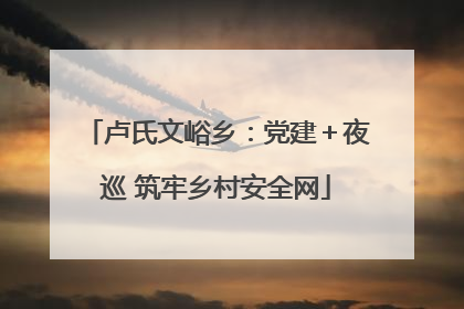 卢氏文峪乡：党建＋夜巡 筑牢乡村安全网