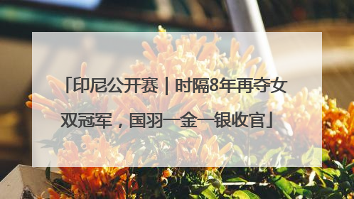印尼公开赛｜时隔8年再夺女双冠军，国羽一金一银收官