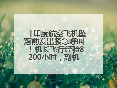 印度航空飞机坠落前发出紧急呼叫！机长飞行经验8200小时，副机长1100小时