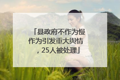 县政府不作为慢作为引发重大舆情，25人被处理