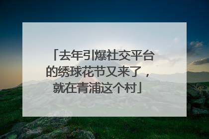 去年引爆社交平台的绣球花节又来了，就在青浦这个村