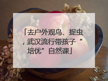 去户外观鸟、捉虫，武汉流行带孩子“培优”自然课