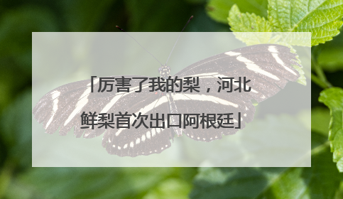 厉害了我的梨，河北鲜梨首次出口阿根廷