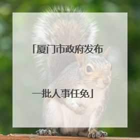 厦门市政府发布一批人事任免