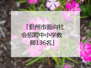 儋州市面向社会招聘中小学教师136名