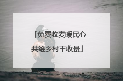 免费收麦暖民心 共绘乡村丰收景