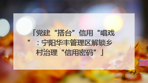 党建“搭台”信用“唱戏”：宁阳华丰管理区解锁乡村治理“信用密码”