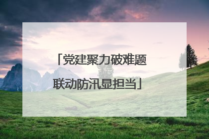 党建聚力破难题 联动防汛显担当