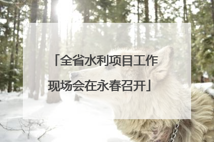 全省水利项目工作现场会在永春召开