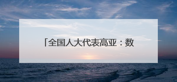 全国人大代表高亚：数智赋能破解执行难题
