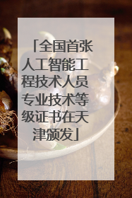 全国首张人工智能工程技术人员专业技术等级证书在天津颁发