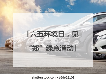 六五环境日，见“郑”绿意涌动