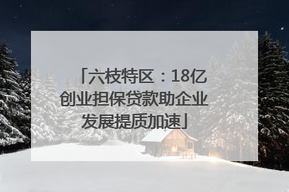 六枝特区：18亿创业担保贷款助企业发展提质加速