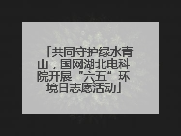 共同守护绿水青山，国网湖北电科院开展“六五”环境日志愿活动