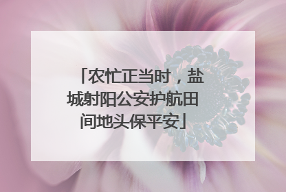 农忙正当时，盐城射阳公安护航田间地头保平安