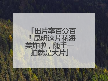 出片率百分百！昆明这片花海美炸啦，随手一拍就是大片