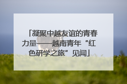 凝聚中越友谊的青春力量——越南青年“红色研学之旅”见闻
